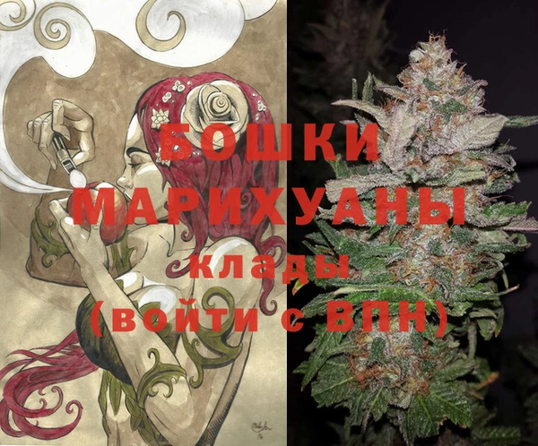 бошки Богданович