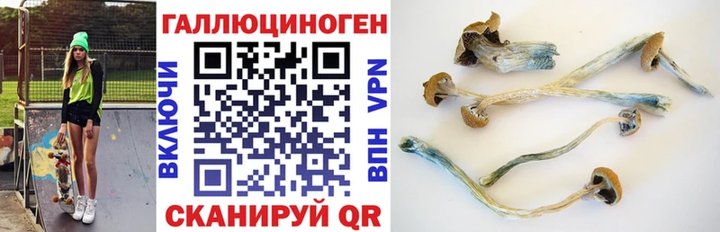 наркота  Берёзовский  Псилоцибиновые грибы MAGIC MUSHROOMS 